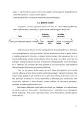 Nuosavybės apskaita 10 puslapis