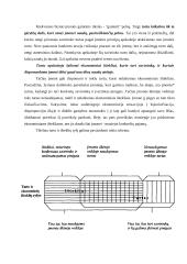 Turto sąvoka apskaitoje 2 puslapis