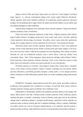 Turto sąvoka apskaitoje 11 puslapis