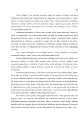 Turto sąvoka apskaitoje 13 puslapis