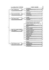 Turto sąvoka apskaitoje 15 puslapis
