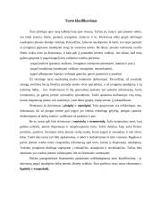 Turto sąvoka apskaitoje 3 puslapis