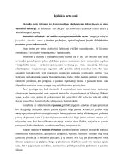 Turto sąvoka apskaitoje 4 puslapis