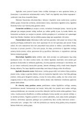 Turto sąvoka apskaitoje 6 puslapis