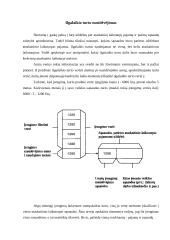 Turto sąvoka apskaitoje 7 puslapis