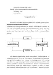 Turto sąvoka apskaitoje 9 puslapis