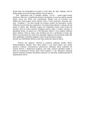 Jupiteris ir Didžioji Raudonoji Dėmė 6 puslapis