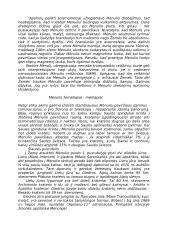 Mėnulio kelias aplink Žemę 5 puslapis