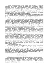 Mėnulio kelias aplink Žemę 6 puslapis