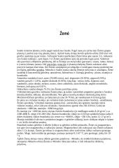 Žemės planetos atmosfera  2 puslapis