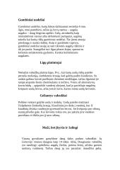 Uodai ir jų rūšys 3 puslapis