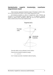 Branduolio magnetinio rezonanso spektroskopija. Pagrindiniai principai 4 puslapis