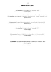 Stasio Krasausko kelias į dailę 11 puslapis