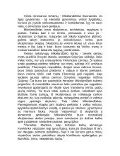 Kūryba - visas Mikelandželo Buanaročio gyvenimas 2 puslapis