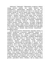 Kūryba - visas Mikelandželo Buanaročio gyvenimas 3 puslapis