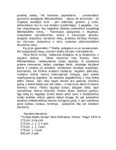 Kūryba - visas Mikelandželo Buanaročio gyvenimas 4 puslapis