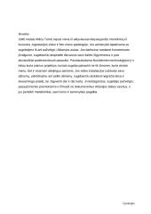 Milica Tomic 3 puslapis