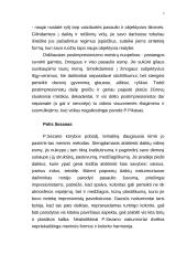 Postimpresionizmas dailėje 2 puslapis