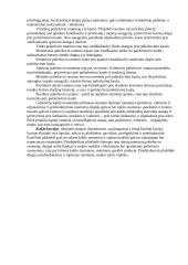 Galvos griaučiai 4 puslapis