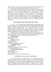 Valstybių vystymasis 2 puslapis