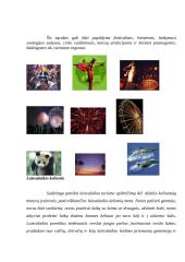 Turizmo paslaugos ir kelionės 10 puslapis