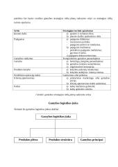 Pagrindinė gamybos logistikos samprata 2 puslapis