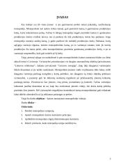 Monopolijos elgsena ir pasekmės  3 puslapis