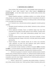 Monopolijos elgsena ir pasekmės  4 puslapis