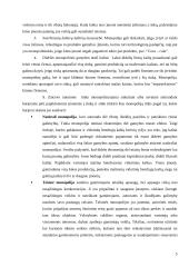 Monopolijos elgsena ir pasekmės  5 puslapis