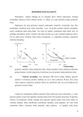 Monopolijos elgsena ir pasekmės  8 puslapis