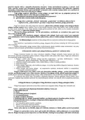 Pinigų esmė, turinys, forma ir prigimtis 2 puslapis