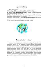 Mano šeimos biudžetas ir mokesčiai 2 puslapis