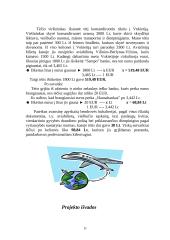 Mano šeimos biudžetas ir mokesčiai 11 puslapis