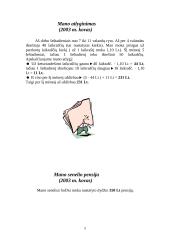 Mano šeimos biudžetas ir mokesčiai 5 puslapis