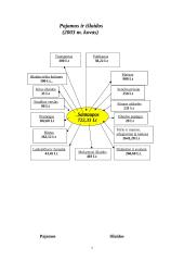 Mano šeimos biudžetas ir mokesčiai 7 puslapis