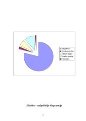 Mano šeimos biudžetas ir mokesčiai 9 puslapis