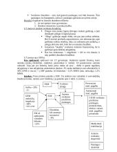  Socialinės apsaugos ekonomika 20 puslapis