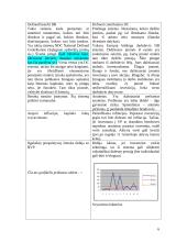  Socialinės apsaugos ekonomika 6 puslapis