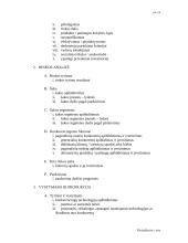 Verslo plano struktūra 2 puslapis