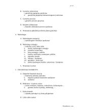 Verslo plano struktūra 3 puslapis