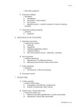 Verslo plano struktūra 4 puslapis