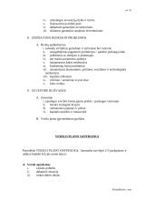 Verslo plano struktūra 5 puslapis