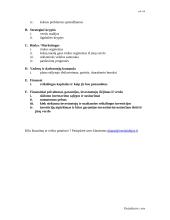 Verslo plano struktūra 6 puslapis