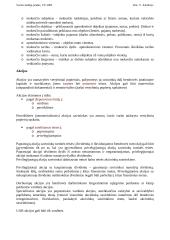 Verslininko, verslumo ir verslo samprata 4 puslapis