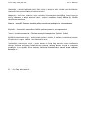 Verslininko, verslumo ir verslo samprata 5 puslapis