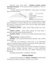 Darbuotojų motyvavymo šiuolaikinės tendencijos, jo reikšmė šiuolaikinėje organizacijoje 5 puslapis