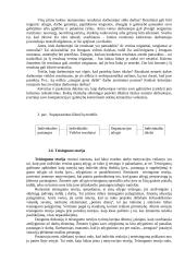 Pagrindiniai motyvacijos ir motyvavimo teiginiai 7 puslapis