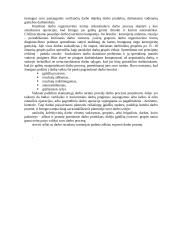 Pagrindiniai motyvacijos ir motyvavimo teiginiai 9 puslapis