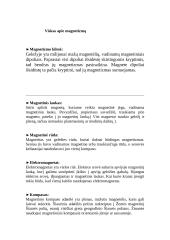 Fizikos šaka – Magnetizmas 2 puslapis