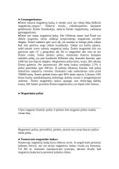 Fizikos šaka – Magnetizmas 3 puslapis